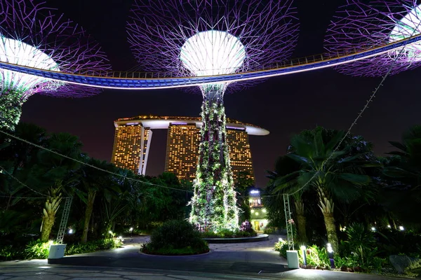 スーパーツリー 木はシンガポールの湾によってガーデンズで異なるライトによって照らされます — ストック写真