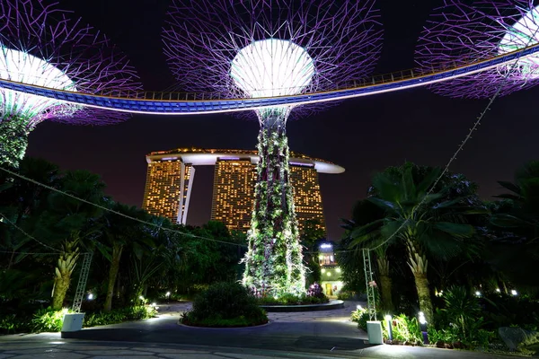 Superalberi Alberi Sono Illuminati Diverse Luci Nei Giardini Dalla Baia — Foto Stock