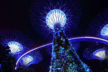 Supertrees, ağaçlar Singapur Körfezi tarafından Gardens farklı ışıklar ile aydınlatılır