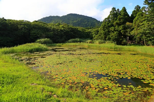 Staw Pobliżu Mostu Jingshan Pobliżu Qingtiangang Grassland Yangmingshan Tajwan — Zdjęcie stockowe