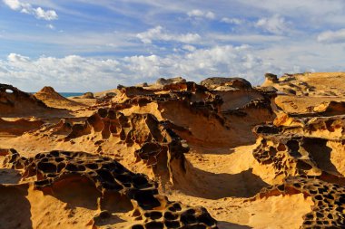 Yehliu Geopark 'taki doğal kaya oluşumu, Wanli, New Taipei City, Tayvan' ın en ünlü harikalarından biri..