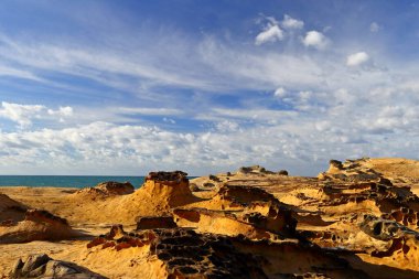 Yehliu Geopark 'taki doğal kaya oluşumu, Wanli, New Taipei City, Tayvan' ın en ünlü harikalarından biri..