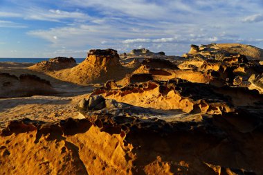 Yehliu Geopark 'taki doğal kaya oluşumu, Wanli, New Taipei City, Tayvan' ın en ünlü harikalarından biri..