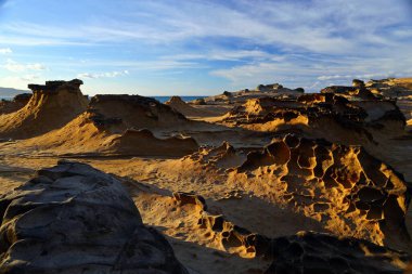 Yehliu Geopark 'taki doğal kaya oluşumu, Wanli, New Taipei City, Tayvan' ın en ünlü harikalarından biri..