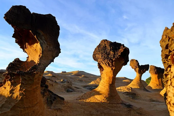 Yehliu Geopark 'taki doğal kaya oluşumu, Wanli, New Taipei City, Tayvan' ın en ünlü harikalarından biri..