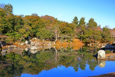 Tenryu-ji 'deki bahçe, Arashiyama' daki saygıdeğer bir Zen tapınağı, Susukinobabacho, Sagatenryuji, Ukyo Ward, Kyoto, Japonya