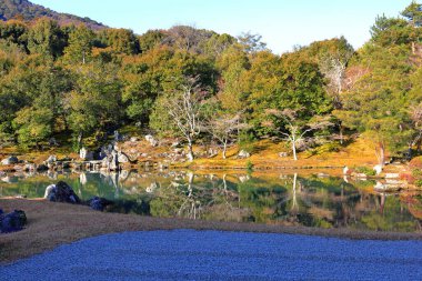 Tenryu-ji 'deki bahçe, Arashiyama' daki saygıdeğer bir Zen tapınağı, Susukinobabacho, Sagatenryuji, Ukyo Ward, Kyoto, Japonya