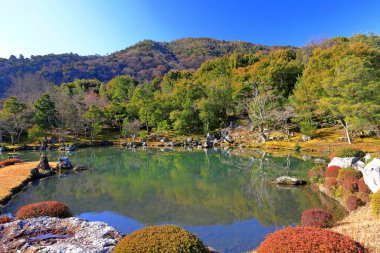 Tenryu-ji 'deki bahçe, Arashiyama' daki saygıdeğer bir Zen tapınağı, Susukinobabacho, Sagatenryuji, Ukyo Ward, Kyoto, Japonya