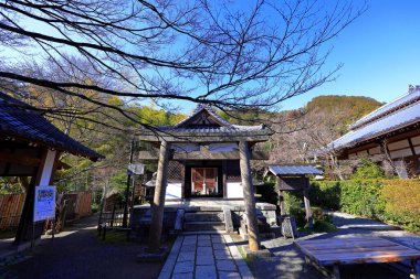 Jojakkoji Tapınağı, Sagaogurayama Oguracho, Ukyo Ward, Kyoto, Japonya 'daki sakin bir ormandaki bir Budist tapınağı.