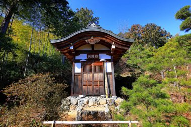 Jojakkoji Tapınağı, Sagaogurayama Oguracho, Ukyo Ward, Kyoto, Japonya 'daki sakin bir ormandaki bir Budist tapınağı.