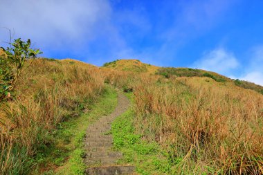 Taipei Yangmingshan 'daki Qixingshan Parkı, Tayvan