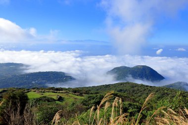 Taipei Yangmingshan 'daki Qixingshan Parkı, Tayvan