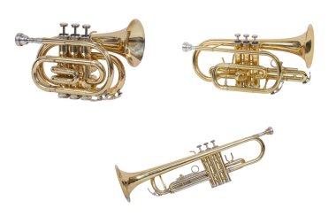 Rüzgar Müzik aleti kornet beyaz arka plan üzerinde izole