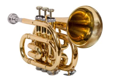 Beyaz arka plan üzerinde izole bas gitar yakın çekim