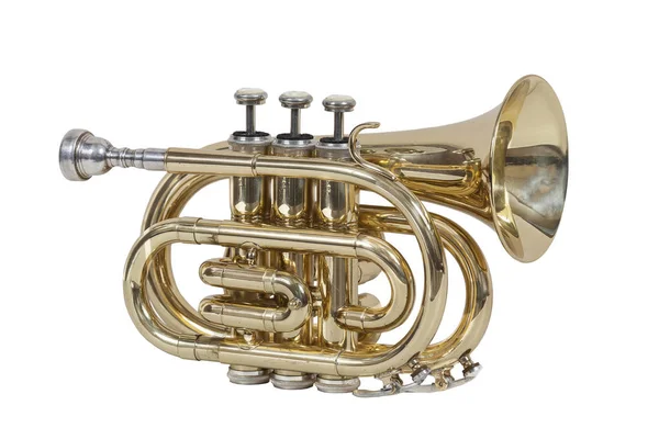 Klassieke Wind Muziekinstrument Cornet Geïsoleerd Witte Achtergrond — Stockfoto