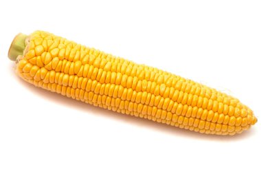 Beyaz arkaplanda izole edilmiş mısır