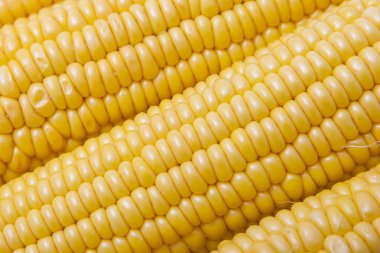 Beyaz arkaplanda izole edilmiş mısır