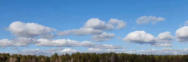 Panorama Van Bewolkte Hemel Achtergrond Van Het Bos — Stockfoto
