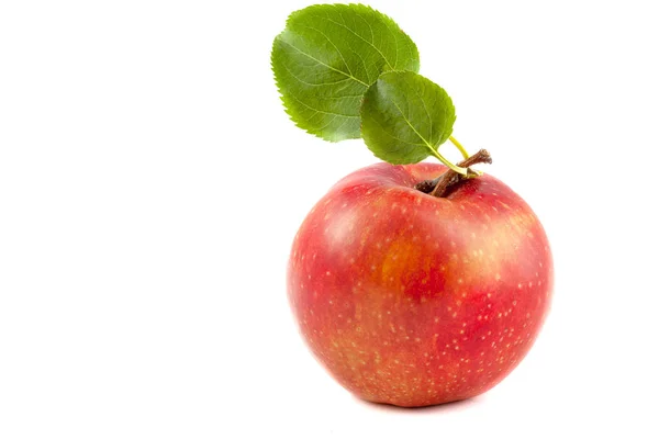 Roter Apfel Mit Blatt Isoliert Auf Weißem Hintergrund — Stockfoto