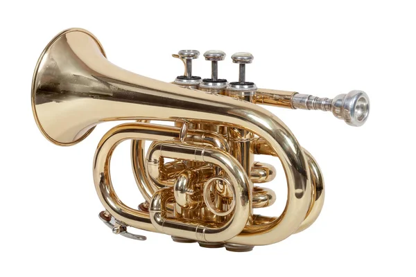 Klassisches Blasinstrumentenkornett Isoliert Auf Weißem Hintergrund — Stockfoto
