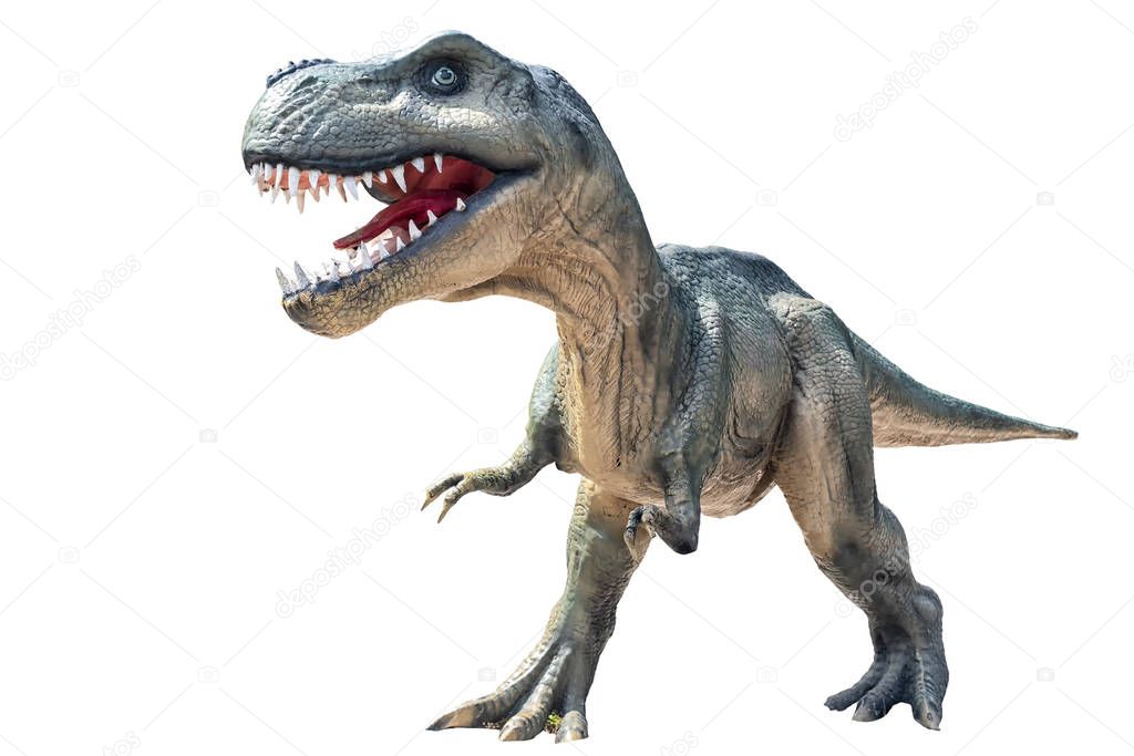  dinosaur prehistoric animal Tyrannosaurus Rex isolated on white background