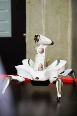 Chelyabinsk, Rusya Federasyonu-4 Haziran 2019: robot-örümcek Sergisi                               