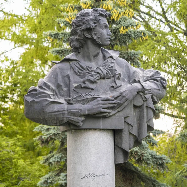 チェリャビンスク ロシア連邦 2019年6月5日 ロシアのチェリャビンスクのプーシキン公園に位置するロシアの詩人アレクサンドル プーシキンの記念碑 — ストック写真