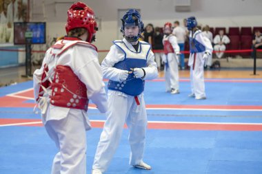 mavi ve kırmızı taekwondo ekipmanları iki kız doyang mücadele ediyor 