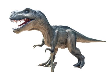 Kostanay, Kazakistan Cumhuriyeti - 24 Mayıs 2019: dinozor tarih öncesi hayvan Tyrannosaurus Rex beyaz arka planda izole edildi
