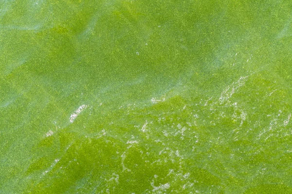 Muster Des Meergrünen Wassers — Stockfoto