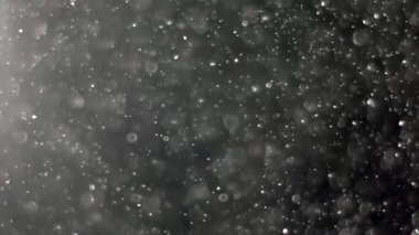 Gerçek mercekli geriışıklandırılmış toz parçacıkları