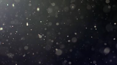 Gerçek mercekli geriışıklandırılmış toz parçacıkları