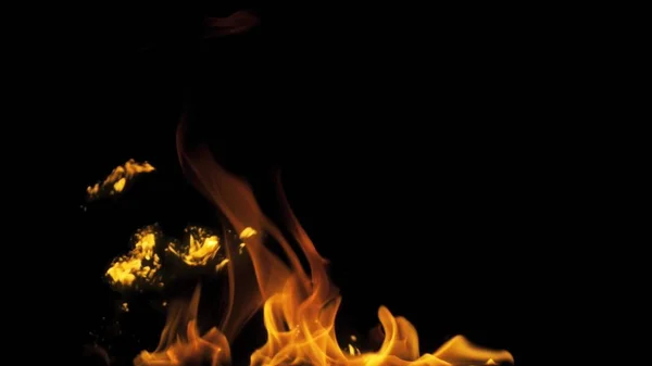 Fire flames on black background — Stock Photo, Image