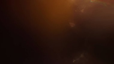 Stüdyoda Siyah Arkaplan Üzerine Gerçek Lens Fişeği Çekimi