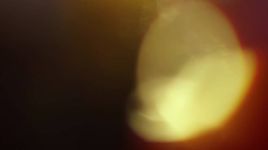 Stüdyoda Siyah Arkaplan Üzerine Gerçek Lens Fişeği Çekimi