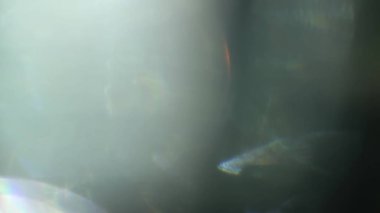 Stüdyoda Siyah Arkaplan Üzerine Gerçek Lens Fişeği Çekimi