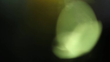 Stüdyoda Siyah Arkaplan Üzerine Gerçek Lens Fişeği Çekimi