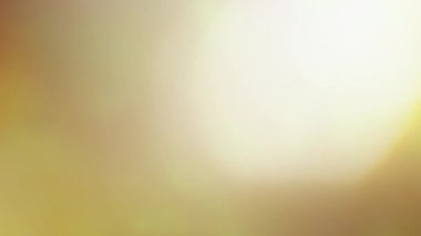 Stüdyoda Siyah Arkaplan Üzerine Gerçek Lens Fişeği Çekimi