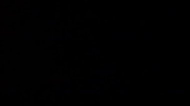 Stüdyoda Siyah Arkaplan Üzerine Gerçek Lens Fişeği Çekimi