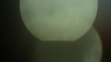 Stüdyoda Siyah Arkaplan Üzerine Gerçek Lens Fişeği Çekimi