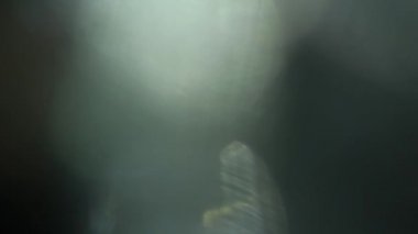 Stüdyoda Siyah Arkaplan Üzerine Gerçek Lens Fişeği Çekimi