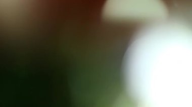 Stüdyoda Siyah Arkaplan Üzerine Gerçek Lens Fişeği Çekimi