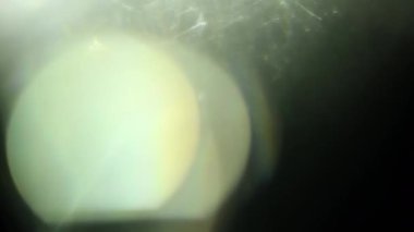 Stüdyoda Siyah Arkaplan Üzerine Gerçek Lens Fişeği Çekimi