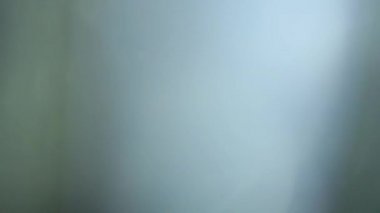 Gerçek Lens Flare atış Studio siyah arka plan üzerinde. Kolay yer paylaşımı veya ekran filtresi eklemek