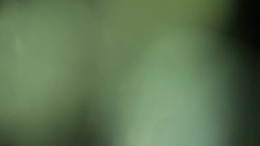 Stüdyoda Siyah Arkaplan Üzerine Gerçek Lens Fişeği Çekimi