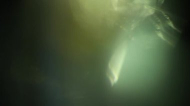 Stüdyoda Siyah Arkaplan Üzerine Gerçek Lens Fişeği Çekimi