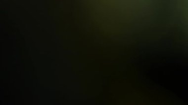 Stüdyoda Siyah Arkaplan Üzerine Gerçek Lens Fişeği Çekimi