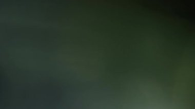 Stüdyoda Siyah Arkaplan Üzerine Gerçek Lens Fişeği Çekimi