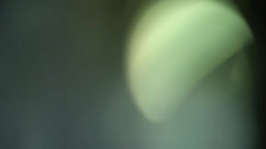 Stüdyoda Siyah Arkaplan Üzerine Gerçek Lens Fişeği Çekimi