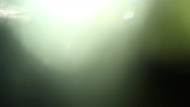 Real Lens Flare Skott i Studio över svart bakgrund — Stockvideo